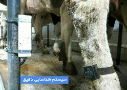 شیردوش دیجیتال ایرانی