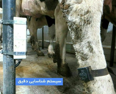 شیردوش دیجیتال ایرانی